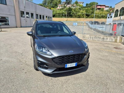 Ford Kuga 2.0 EcoBlue 120 CV aut. 2WD ST-Line (4)