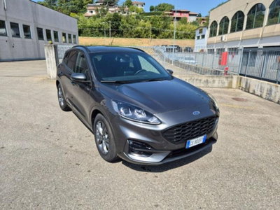 Ford Kuga 2.0 EcoBlue 120 CV aut. 2WD ST-Line (5)