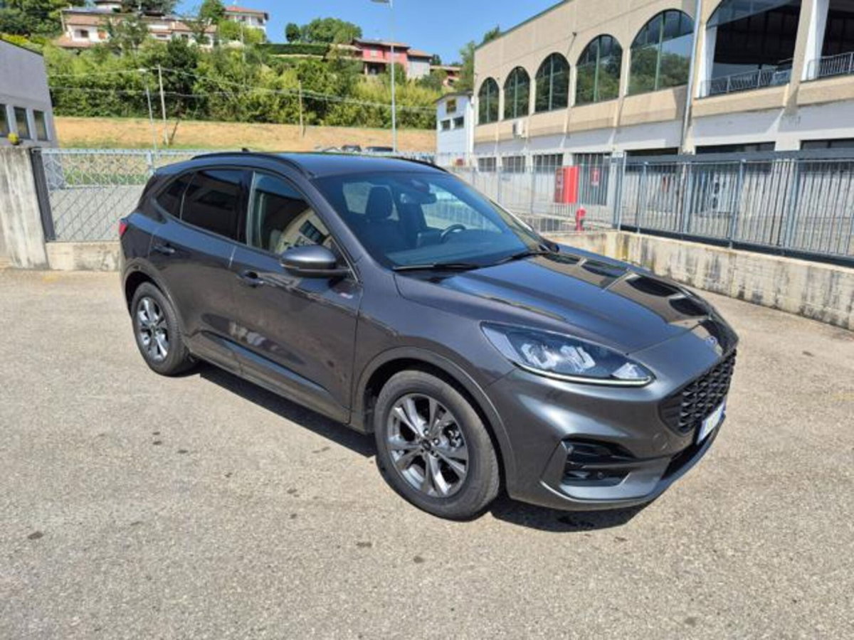 Ford Kuga 2.0 EcoBlue 120 CV aut. 2WD ST-Line (6)