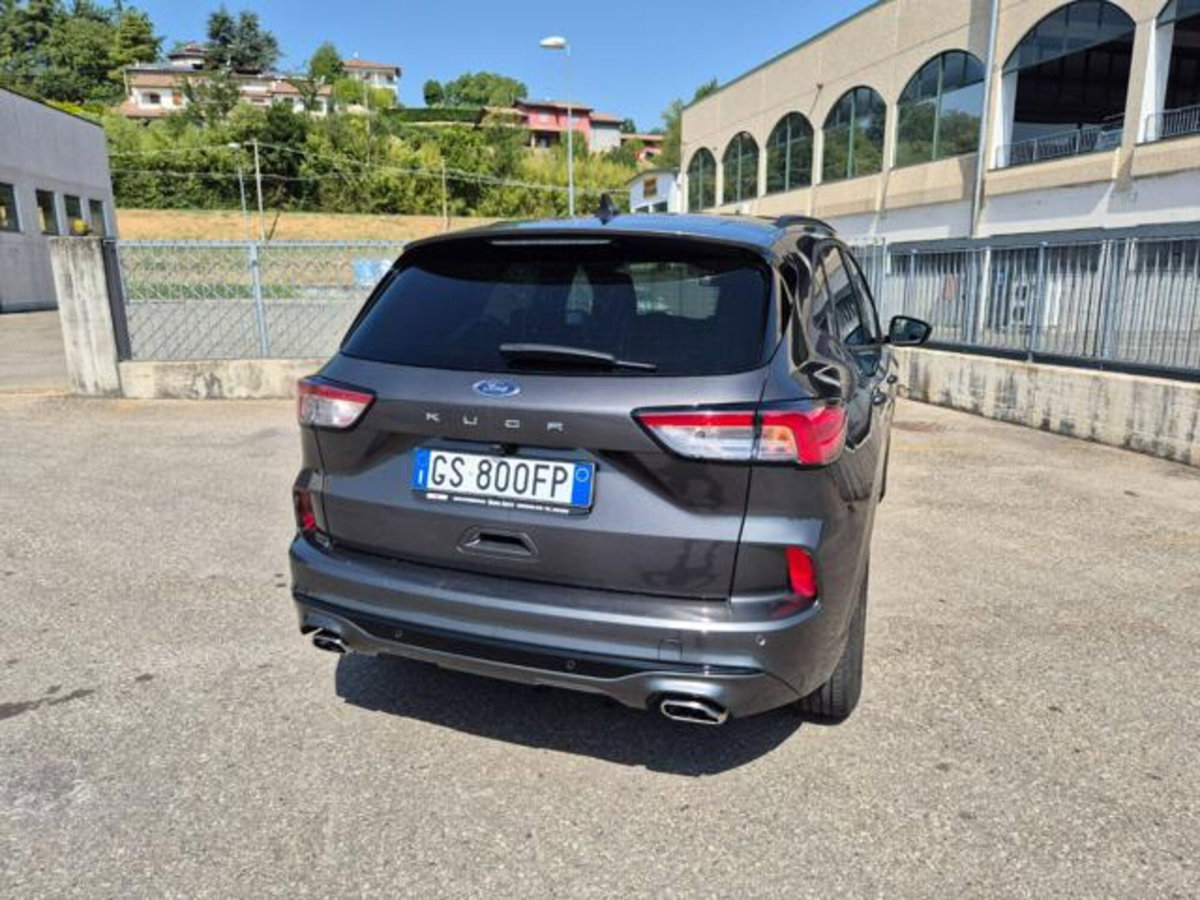Ford Kuga 2.0 EcoBlue 120 CV aut. 2WD ST-Line (7)