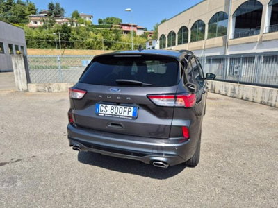 Ford Kuga 2.0 EcoBlue 120 CV aut. 2WD ST-Line (7)