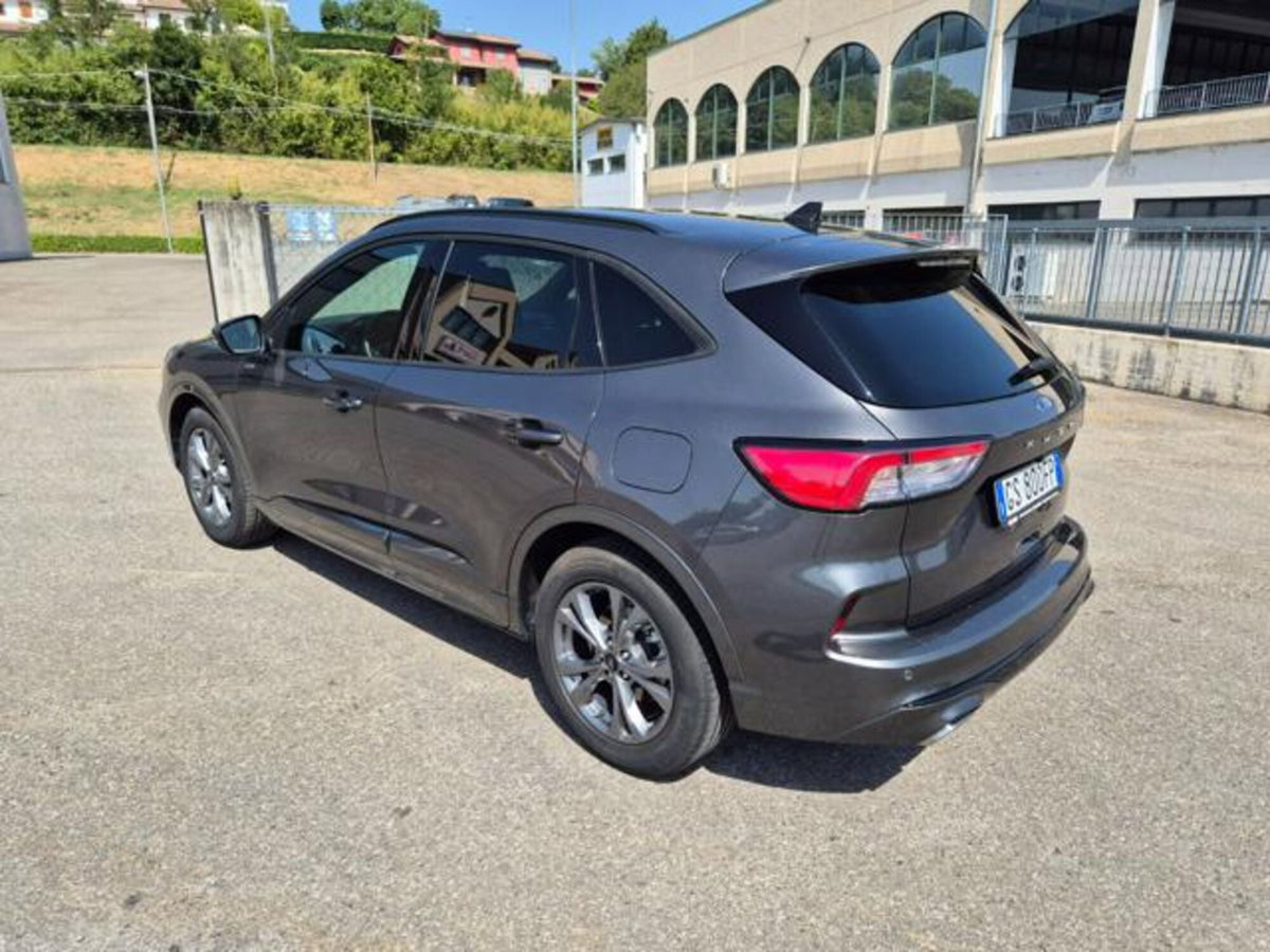 Ford Kuga 2.0 EcoBlue 120 CV aut. 2WD ST-Line (8)