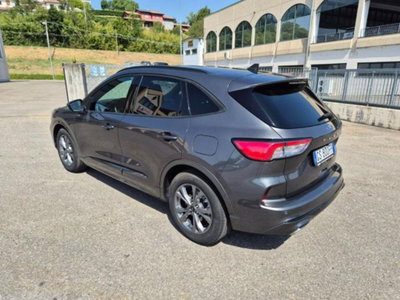 Ford Kuga 2.0 EcoBlue 120 CV aut. 2WD ST-Line (8)