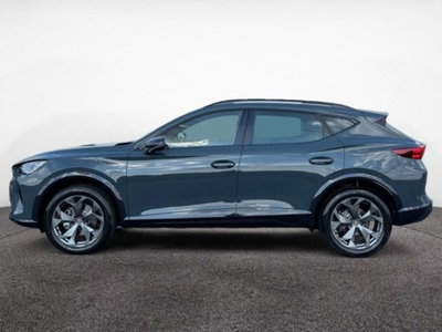 Cupra Formentor 2.0 tsi 4drive 204cv dsg (3)
