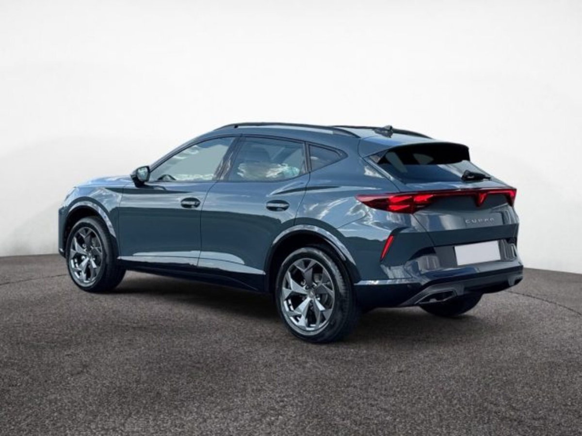 Cupra Formentor 2.0 tsi 4drive 204cv dsg (4)