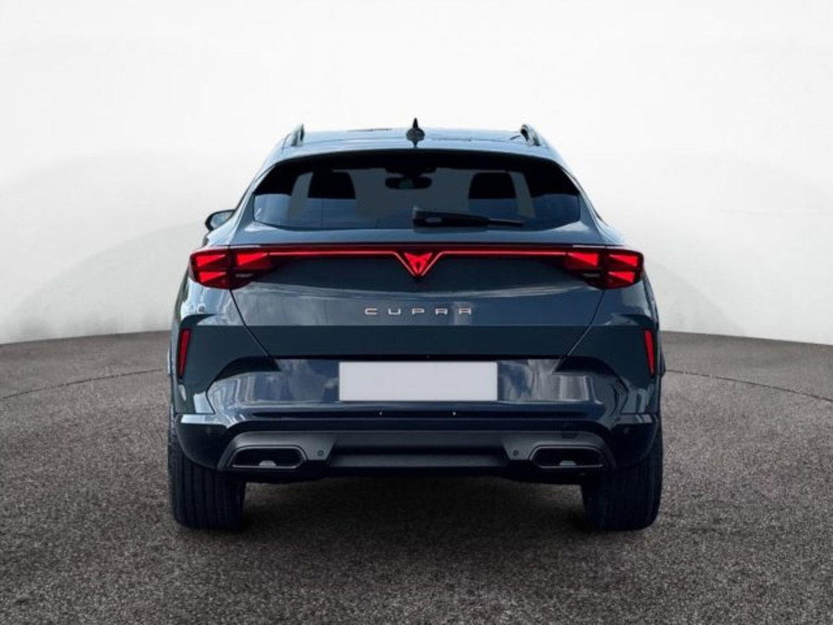 Cupra Formentor 2.0 tsi 4drive 204cv dsg (5)