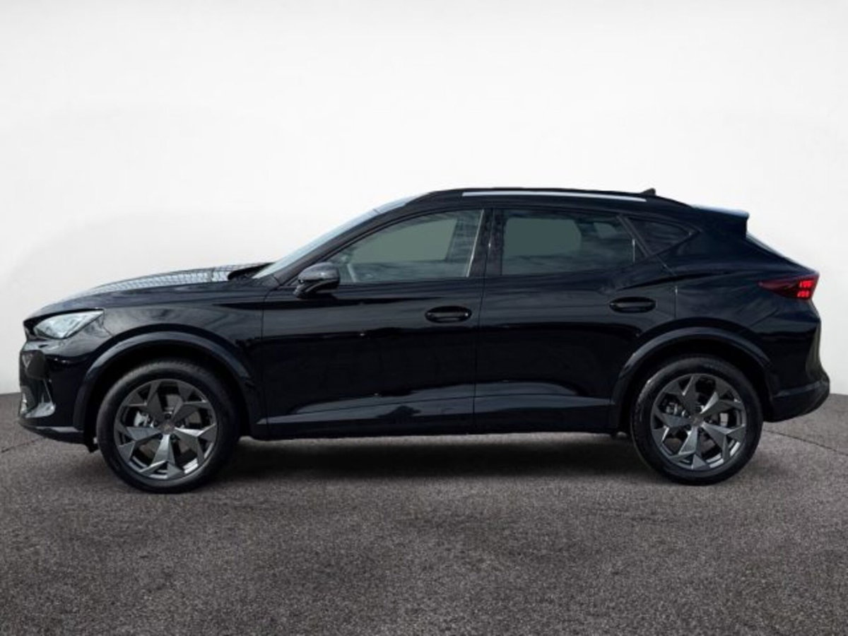 Cupra Formentor 2.0 tsi 4drive 204cv dsg (3)