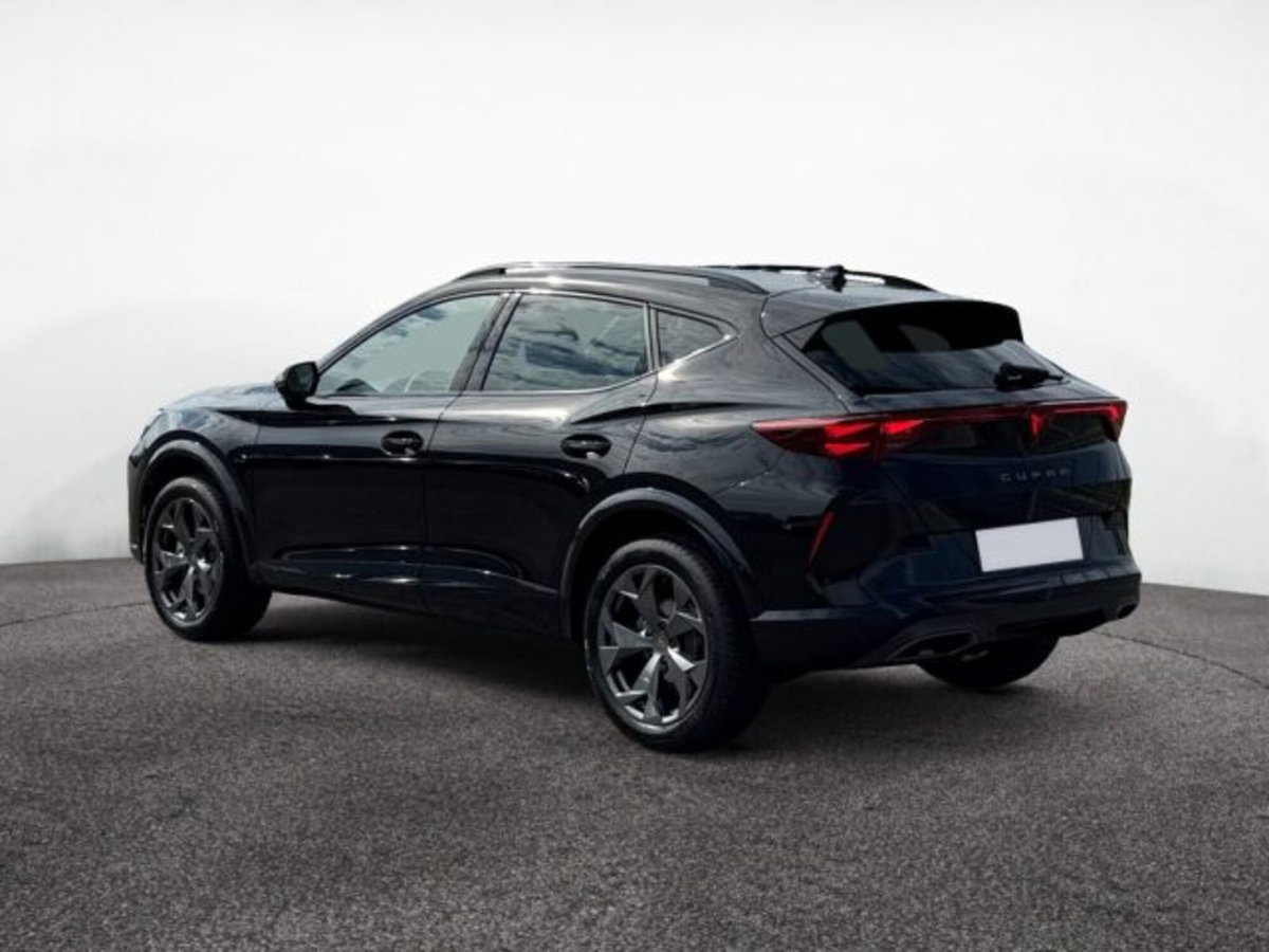 Cupra Formentor 2.0 tsi 4drive 204cv dsg (4)