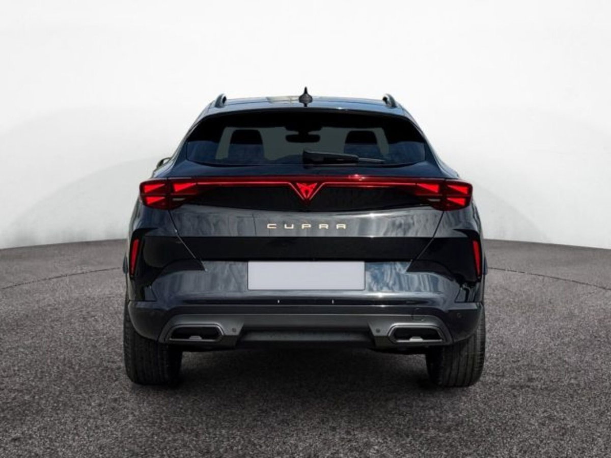 Cupra Formentor 2.0 tsi 4drive 204cv dsg (5)