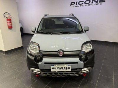 Fiat Panda Cross 1.0 firefly hybrid Cross s&s 70cv 5p.ti (2)
