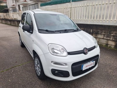 Fiat Panda 0.9 TwinAir Turbo S&S 4x4 Pop Van 2 posti (4)