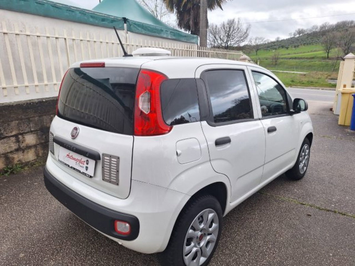 Fiat Panda 0.9 TwinAir Turbo S&S 4x4 Pop Van 2 posti (5)