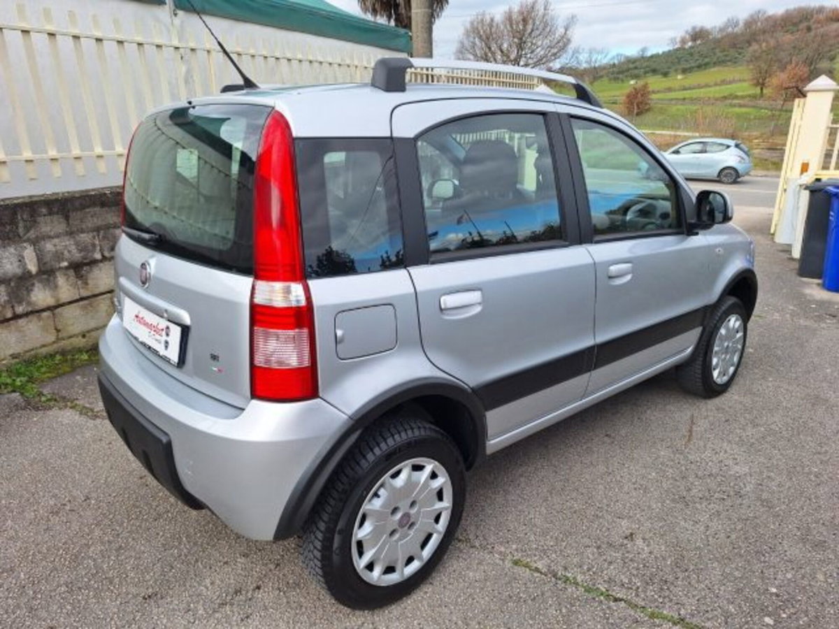 Fiat Panda 1.2 4x4 Climbing (6)