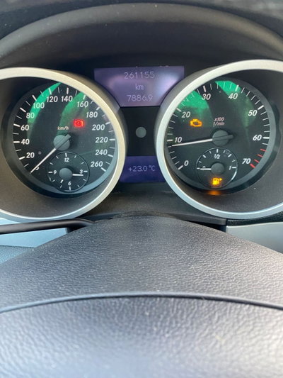 Mercedes-Benz SLK 200 Kompressor cat (18)