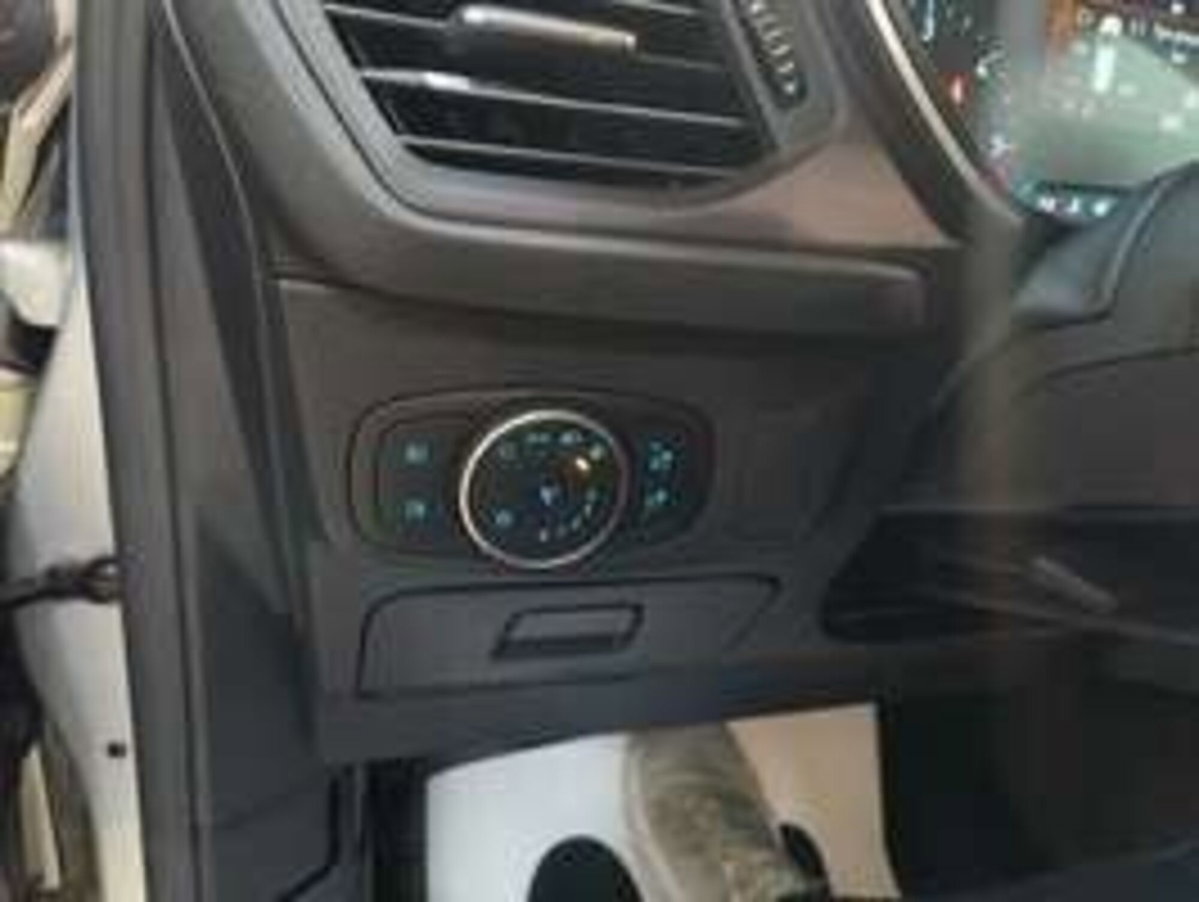 Ford Focus Station Wagon 1.5 EcoBlue 120 CV automatico SW Business Co-Pilot (14)