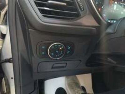 Ford Focus Station Wagon 1.5 EcoBlue 120 CV automatico SW Business Co-Pilot (14)