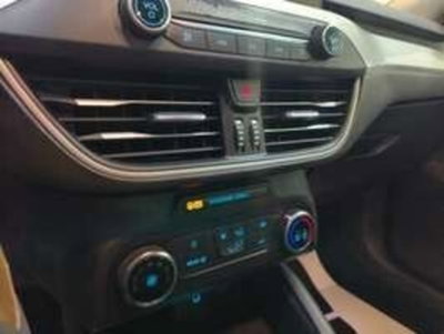 Ford Focus Station Wagon 1.5 EcoBlue 120 CV automatico SW Business Co-Pilot (18)