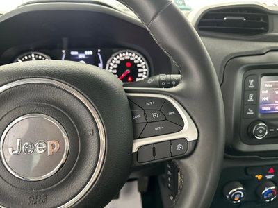 Jeep Renegade 2.0 Mjt 140CV 4WD Active Drive Longitude (17)