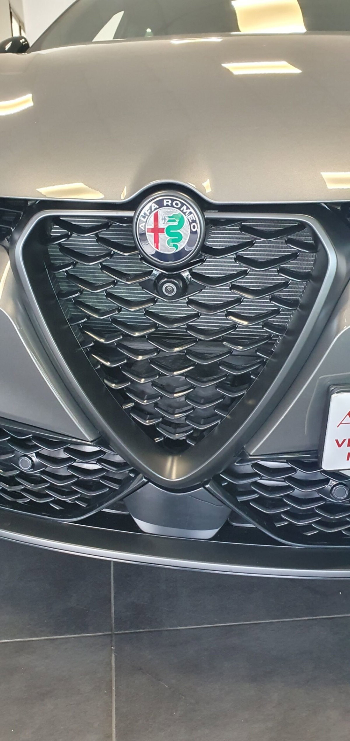 Alfa Romeo Tonale 1.6 Veloce 130cv tct6 (17)