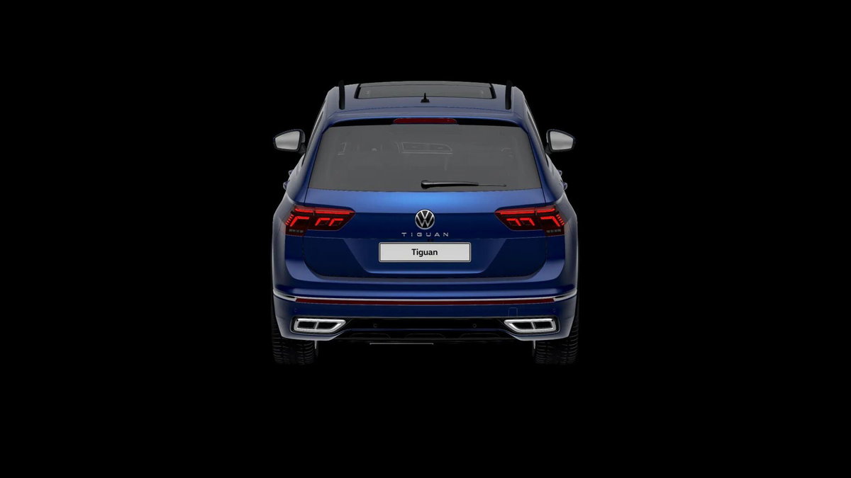 Volkswagen Tiguan 2.0 tdi R-Line 150cv dsg (3)