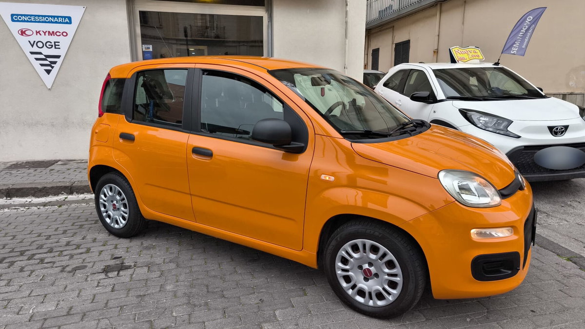 Fiat Panda 1.3 MJT 80 CV S&S 4x4 (2)