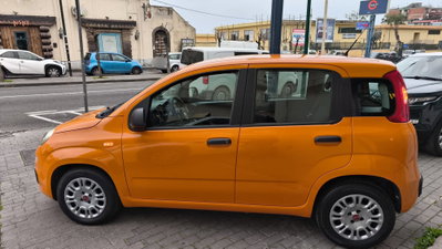 Fiat Panda 1.3 MJT 80 CV S&S 4x4 (3)
