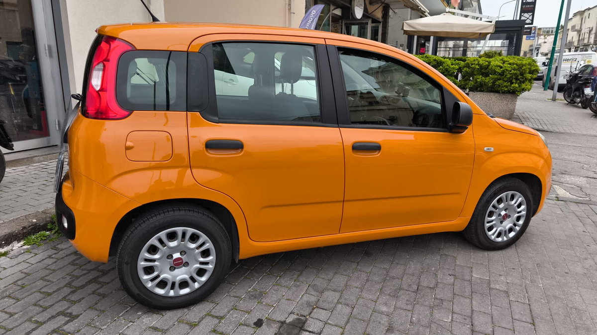 Fiat Panda 1.3 MJT 80 CV S&S 4x4 (6)