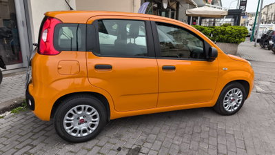 Fiat Panda 1.3 MJT 80 CV S&S 4x4 (6)