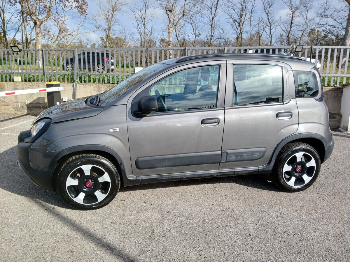 Fiat Panda Cross Cross 1.0 FireFly S&S Hybrid (2)