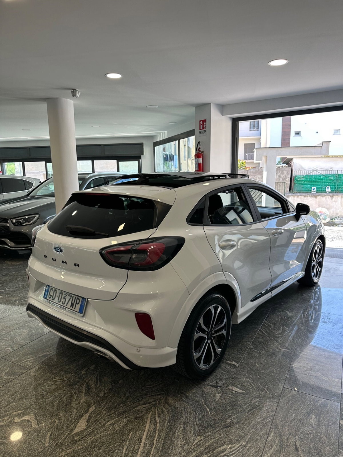 Ford Puma 1.5 EcoBlue 120 CV S&S ST-Line (4)