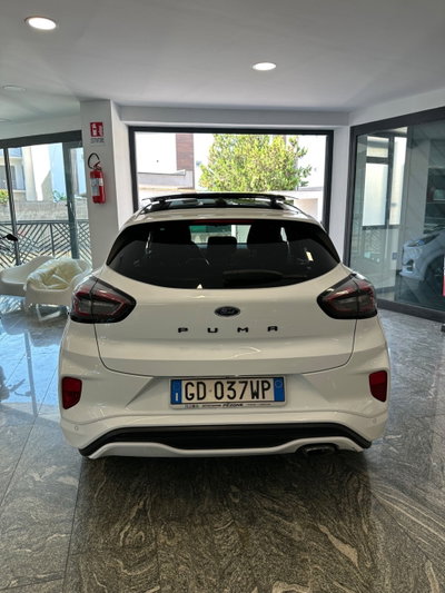 Ford Puma 1.5 EcoBlue 120 CV S&S ST-Line (5)