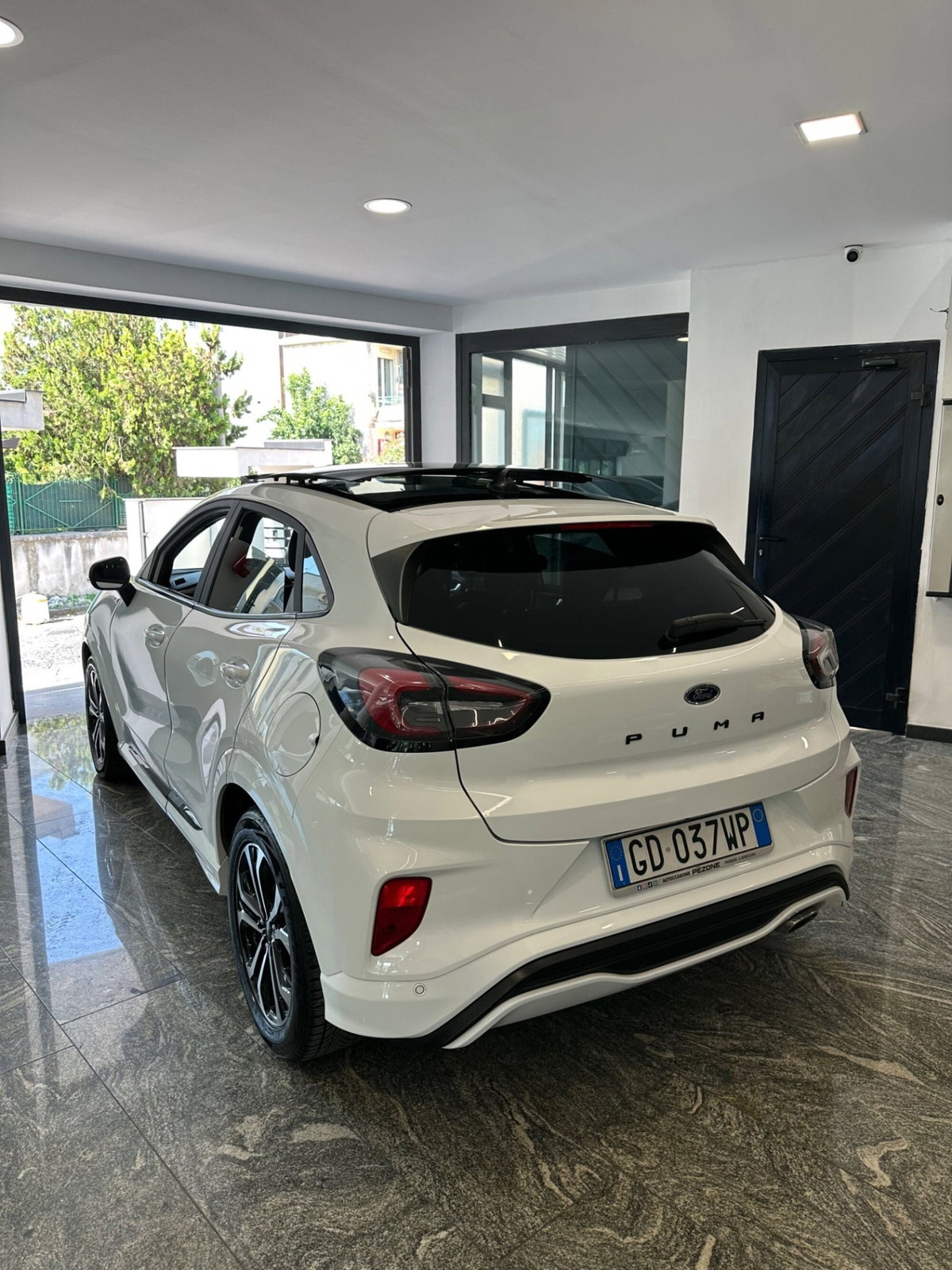 Ford Puma 1.5 EcoBlue 120 CV S&S ST-Line (6)