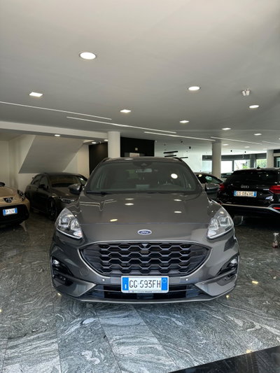 Ford Kuga 2.0 EcoBlue Hybrid 150 CV 2WD ST-Line X (2)