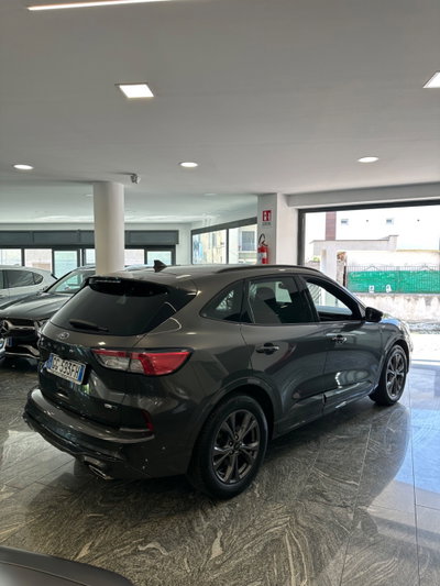Ford Kuga 2.0 EcoBlue Hybrid 150 CV 2WD ST-Line X (4)