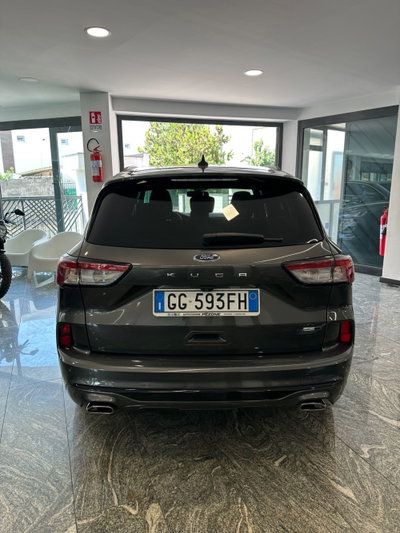 Ford Kuga 2.0 EcoBlue Hybrid 150 CV 2WD ST-Line X (5)