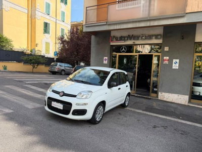 Fiat Panda 1.0 firefly hybrid s&s 70cv 5p.ti usata