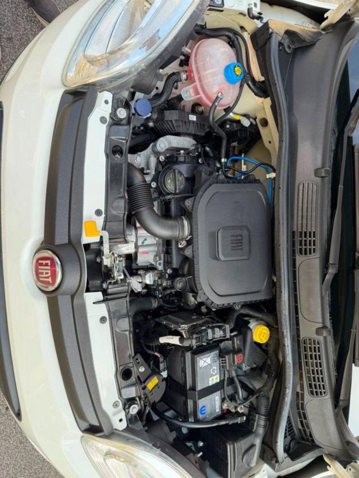Fiat Panda 1.0 firefly hybrid s&s 70cv 5p.ti (5)