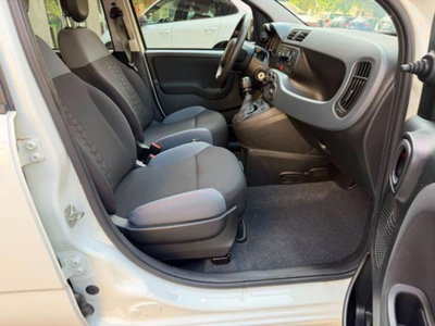 Fiat Panda 1.0 firefly hybrid s&s 70cv 5p.ti (7)