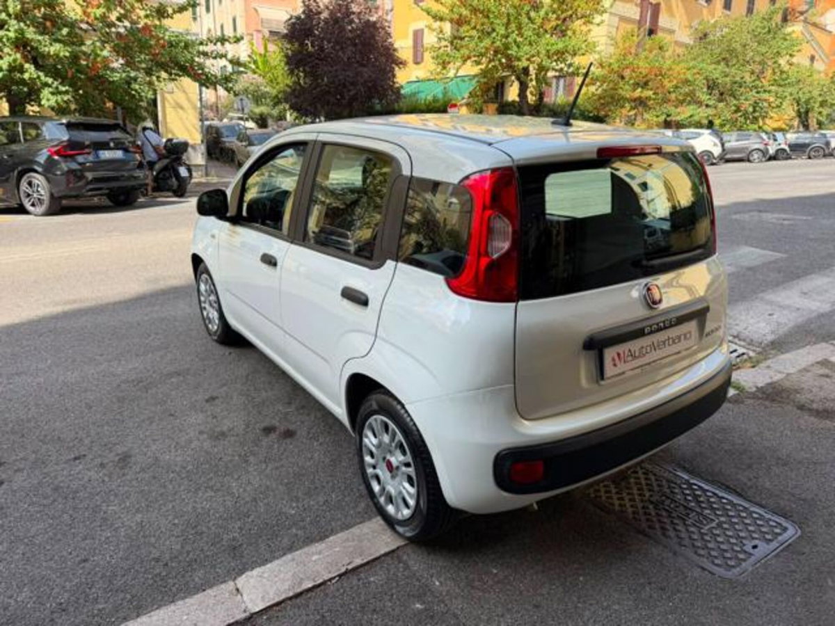 Fiat Panda 1.0 firefly hybrid s&s 70cv 5p.ti (8)