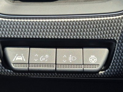Renault Arkana Hybrid E-Tech 145 CV Techno (15)