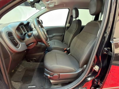 Fiat Panda 1.0 firefly hybrid s&s 70cv 5p.ti (10)