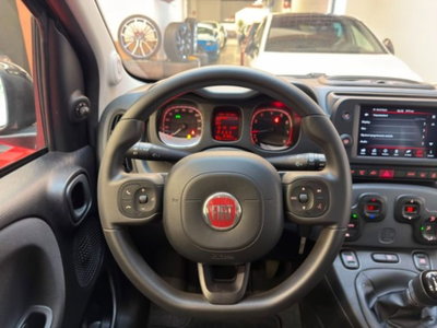 Fiat Panda 1.0 firefly hybrid s&s 70cv 5p.ti (7)