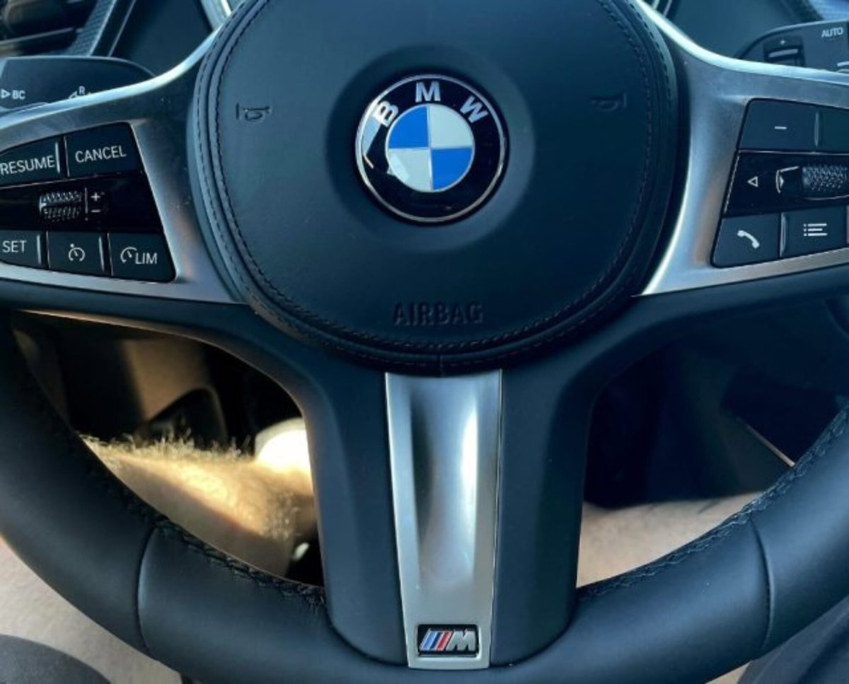 BMW Serie 1 116d 2.0 116CV cat 5 porte Attiva DPF (10)