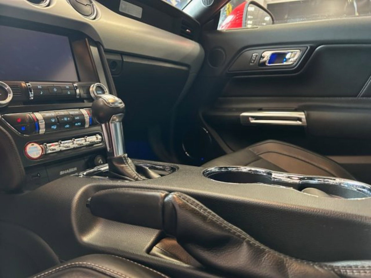 Ford Mustang Coupé Fastback 2.3 EcoBoost (11)