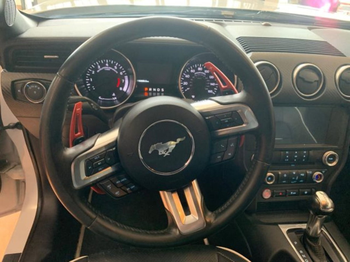 Ford Mustang Coupé Fastback 2.3 EcoBoost (12)