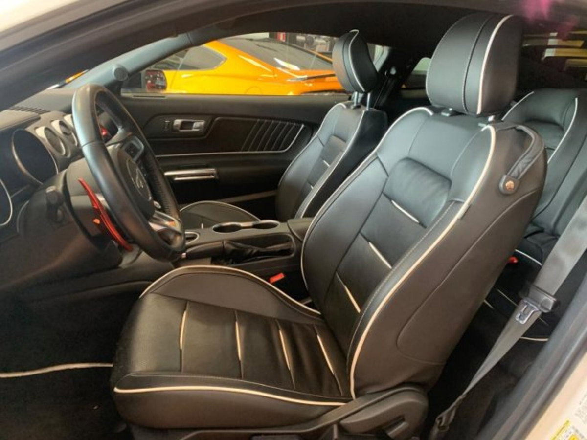 Ford Mustang Coupé Fastback 2.3 EcoBoost (14)