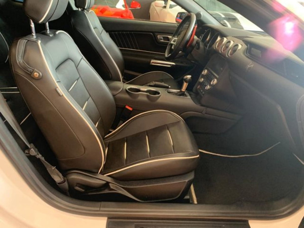 Ford Mustang Coupé Fastback 2.3 EcoBoost (17)
