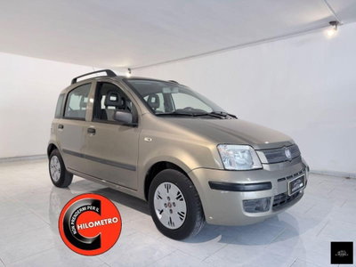 Fiat Panda 1.2 Dynamic GPL usata