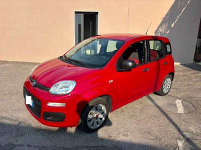 Fiat Panda 1.2 Easy usata