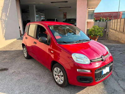 Fiat Panda 1.2 Easy (5)